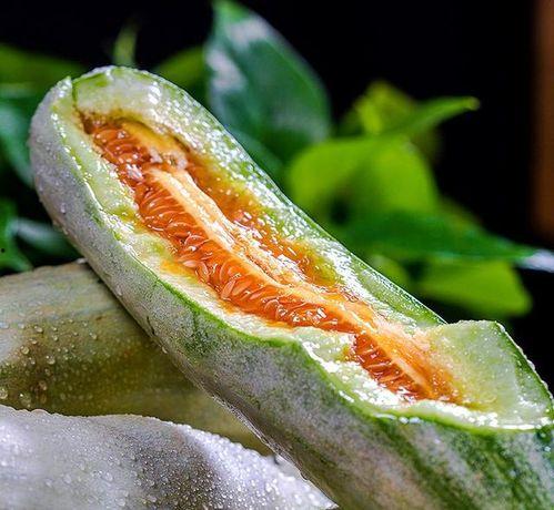 吃瓜所有网红,揭秘网络红人的幕后生活 第1张 吃瓜所有网红,揭秘网络红人的幕后生活 第1张