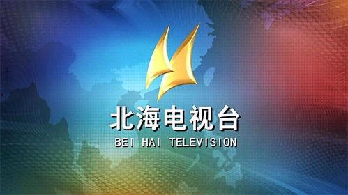 北海电视台新闻爆料电话,揭秘新闻爆料热线背后的故事